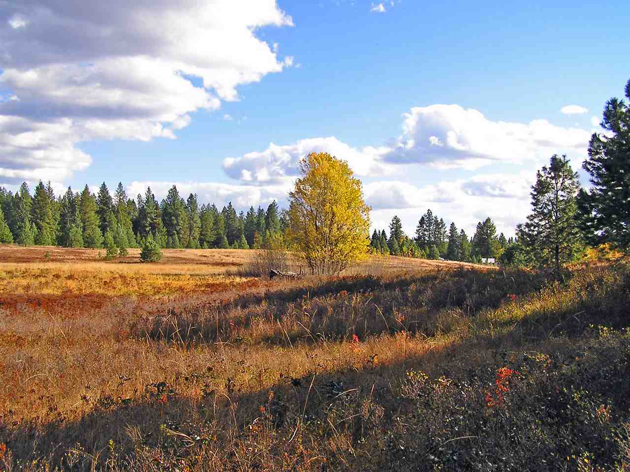 66 X Lindsay Road Colville, WA 99114 - Photo 4 of 16