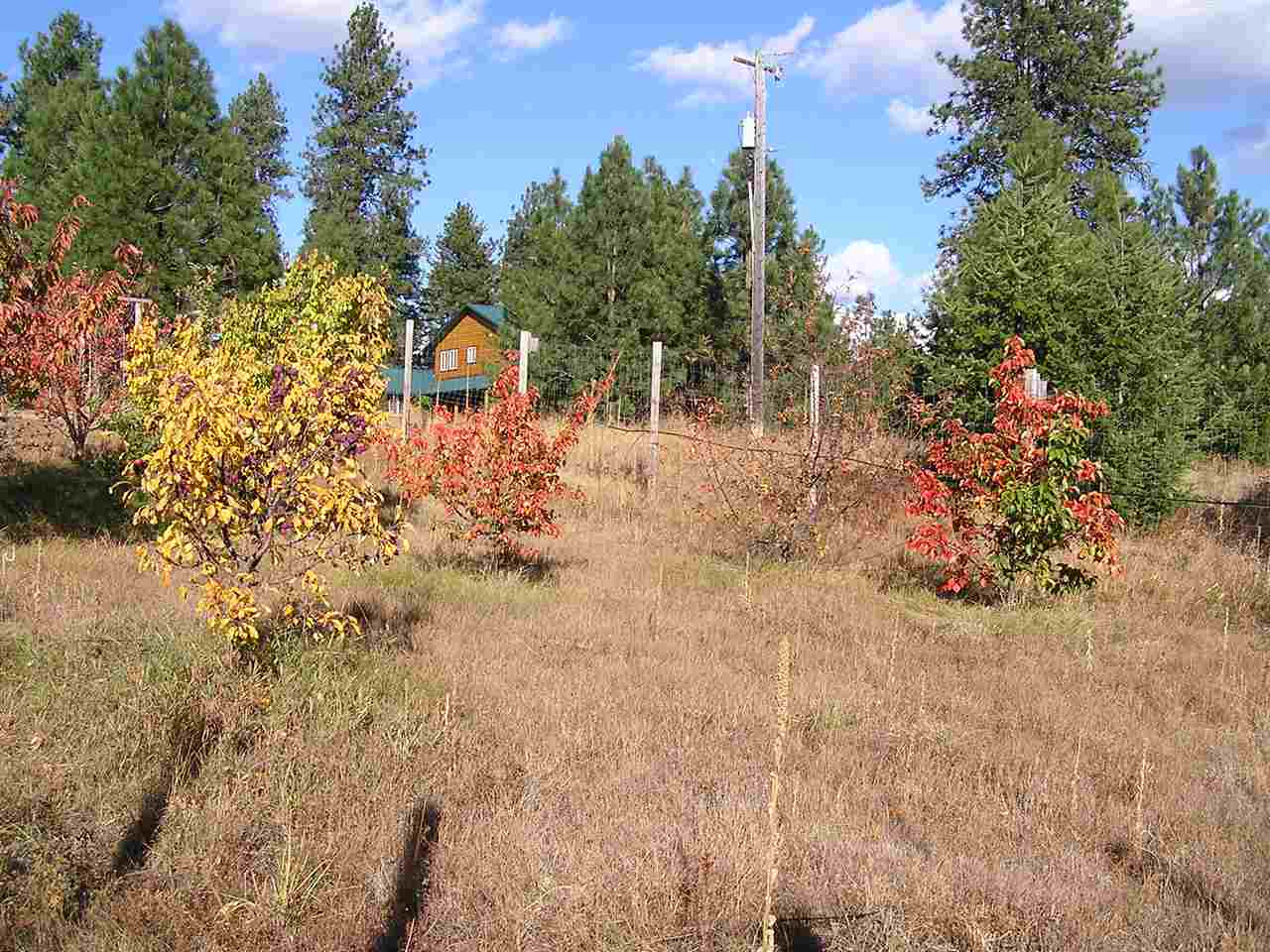 66 X Lindsay Road Colville, WA 99114 - Photo 6 of 16