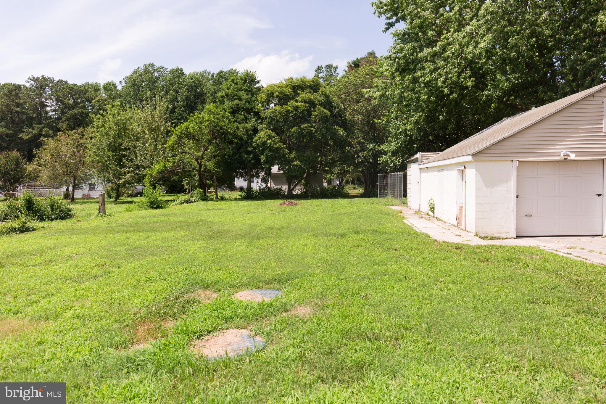 30550 Bennett Road Salisbury, MD 21804 - Photo 23 of 23 Back Yard