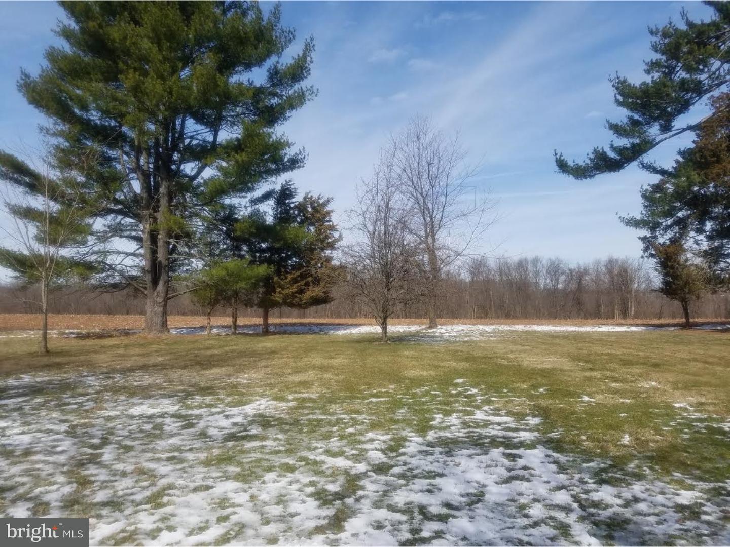 162 West Upper Ferry Road Ewing, NJ 08628 - Photo 17 of 17 Back Yard