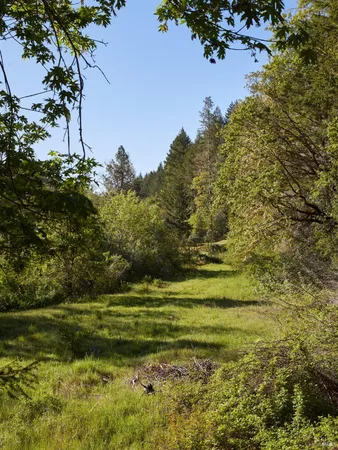 $375,000 | 18574 Tomki Road, Willits, CA 95490