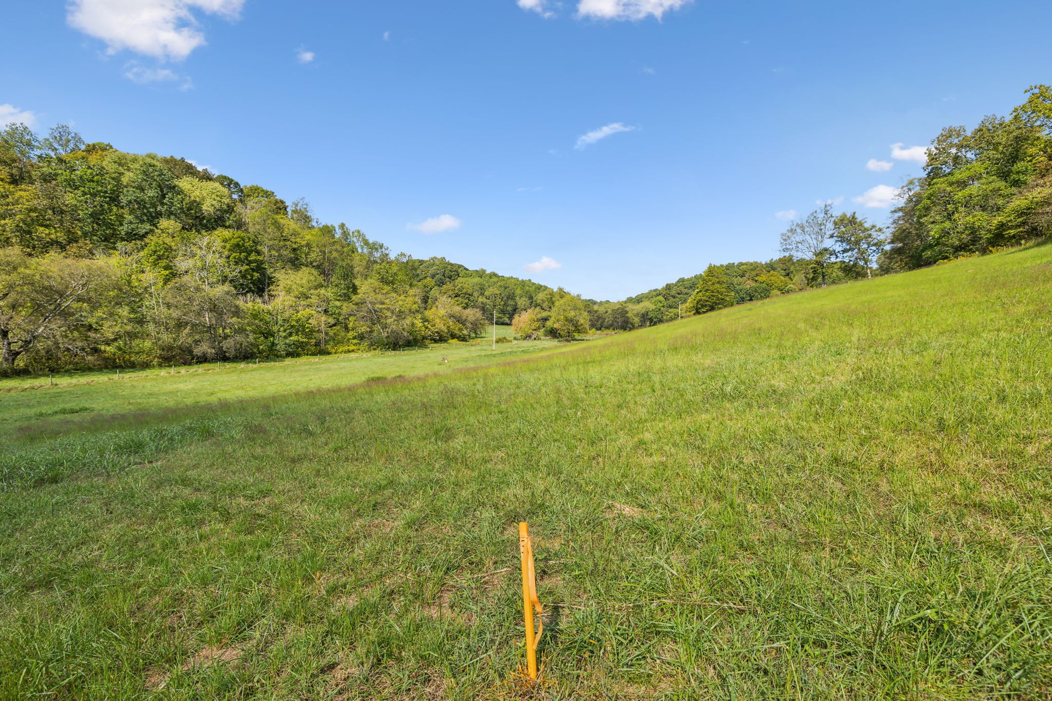 1 Young Road Pulaski, TN 38478 - Photo 4 of 8 a view of a field with an ocean