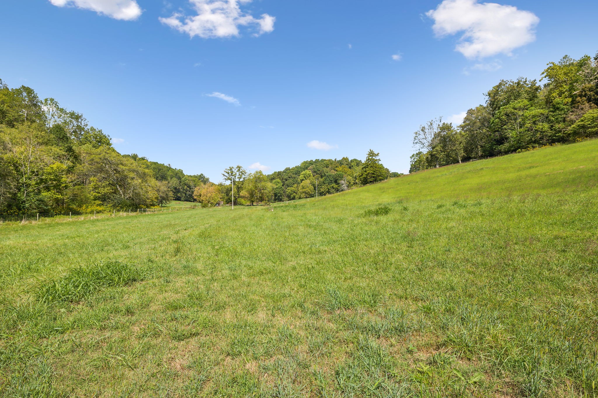 1 Young Road Pulaski, TN 38478 - Photo 5 of 8 a view of a big yard with swimming pool and green space