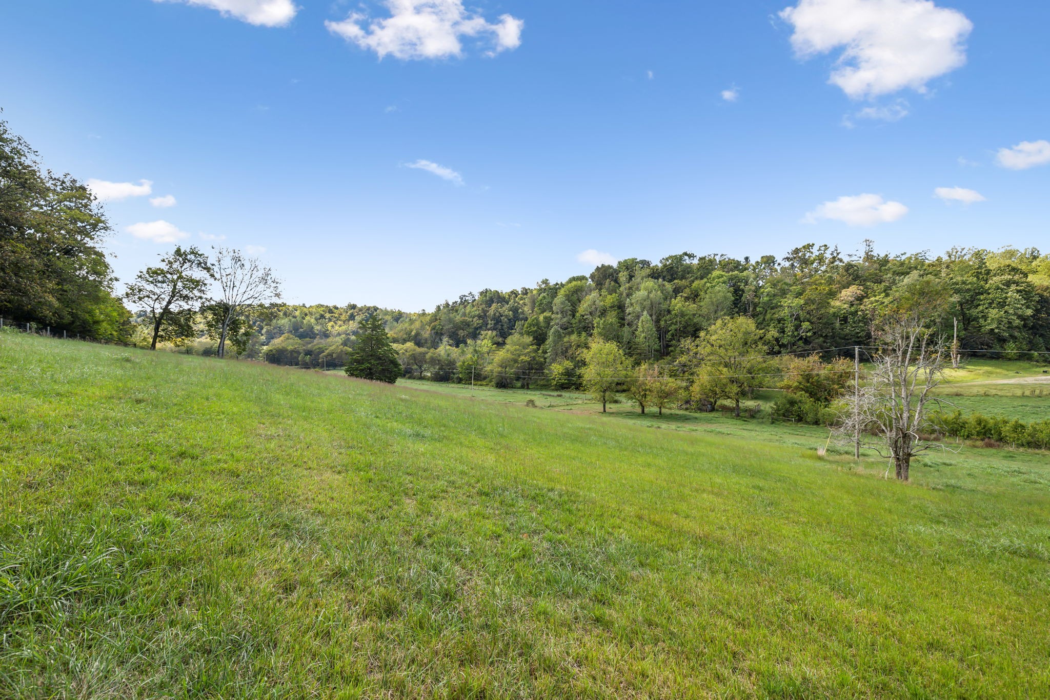 1 Young Road Pulaski, TN 38478 - Photo 7 of 8 a view of a grassy field with trees
