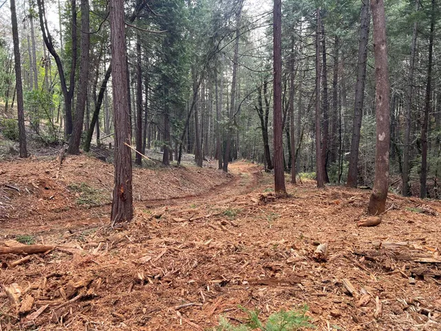 a backyard of a house with trees