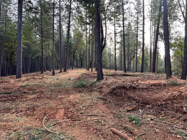 a view of outdoor space with trees