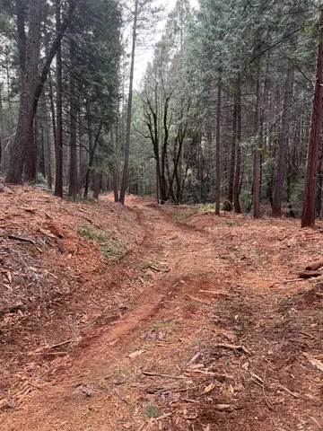 a fire hydrant in the middle of a field