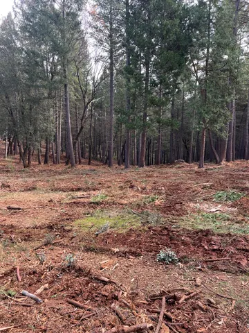 a fire hydrant in the middle of a field