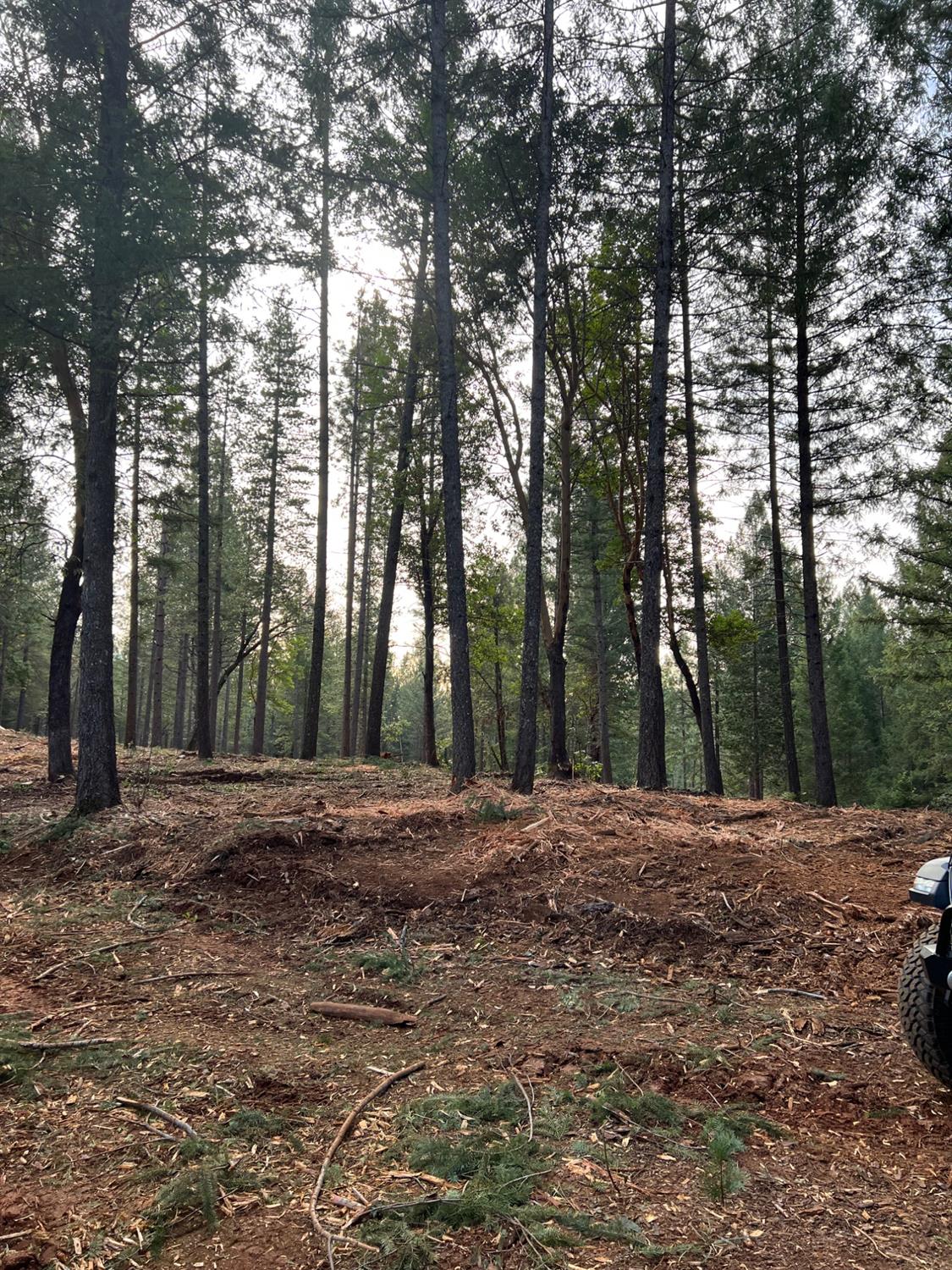 5861 Bear Creek Road Garden Valley, CA 95633 - Photo 17 of 24