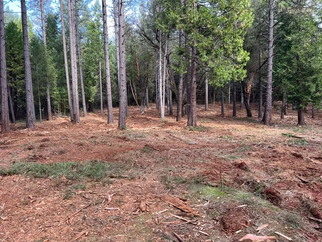 a backyard of a house with lots of green space