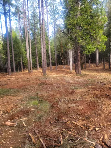 a view of outdoor space with trees