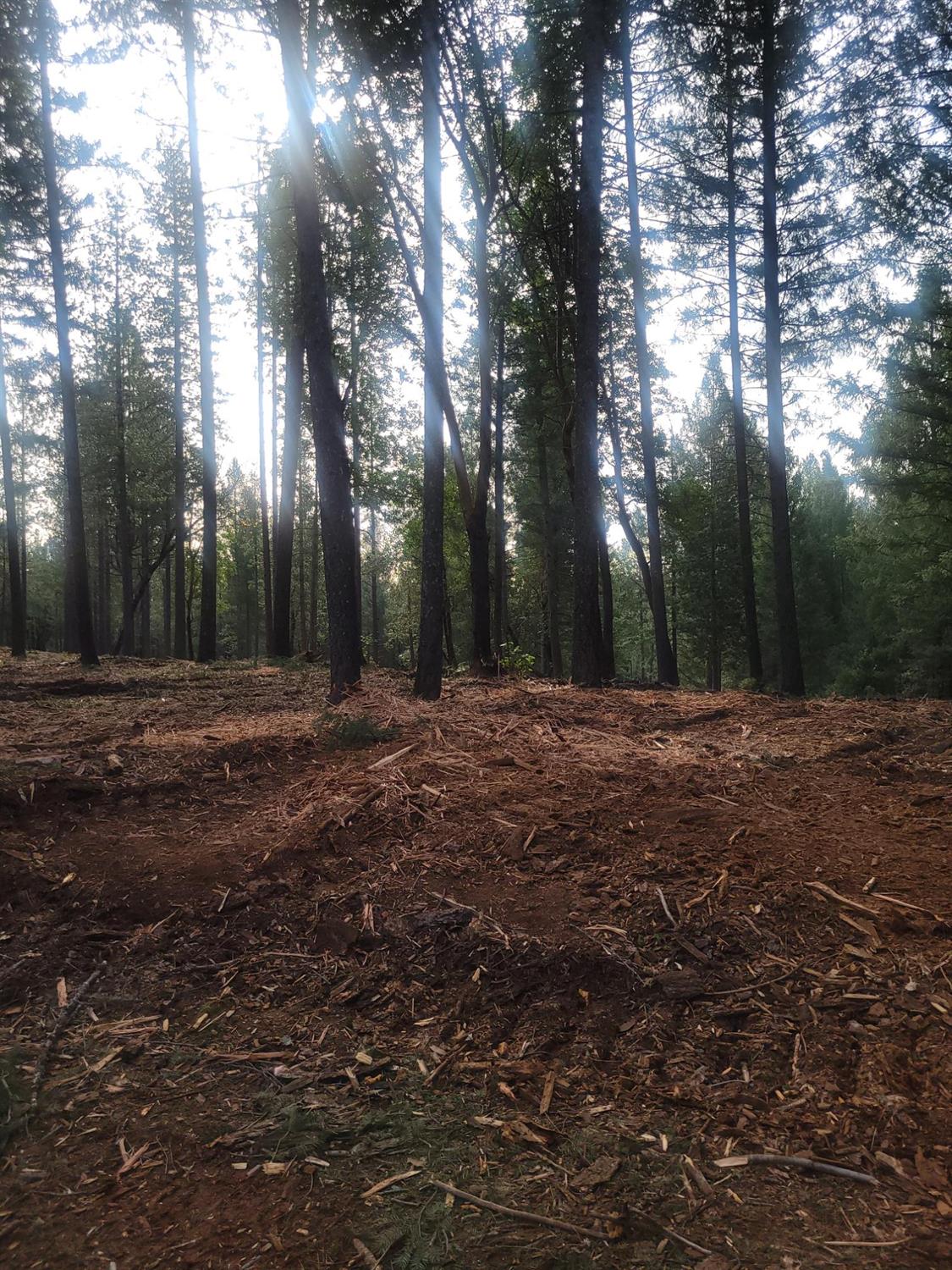 5861 Bear Creek Road Garden Valley, CA 95633 - Photo 22 of 24 a view of outdoor space with trees