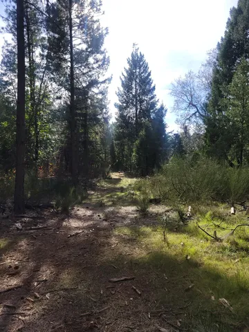 $249,000 | 5861 Bear Creek Road, Garden Valley, CA 95633