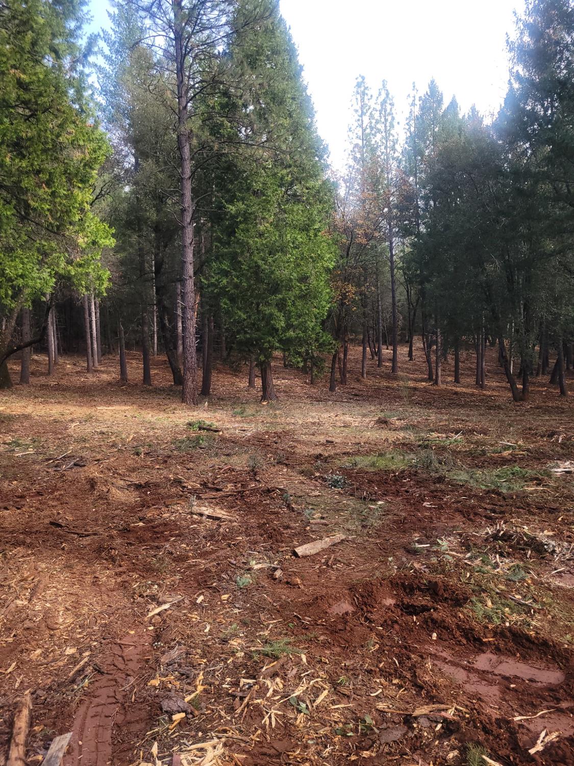 5861 Bear Creek Road Garden Valley, CA 95633 - Photo 7 of 24 a backyard of a house with lots of green space
