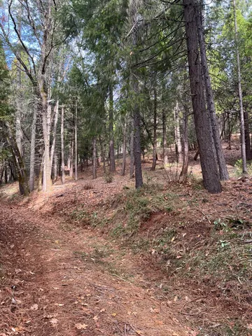 a backyard of a house with lots of green space