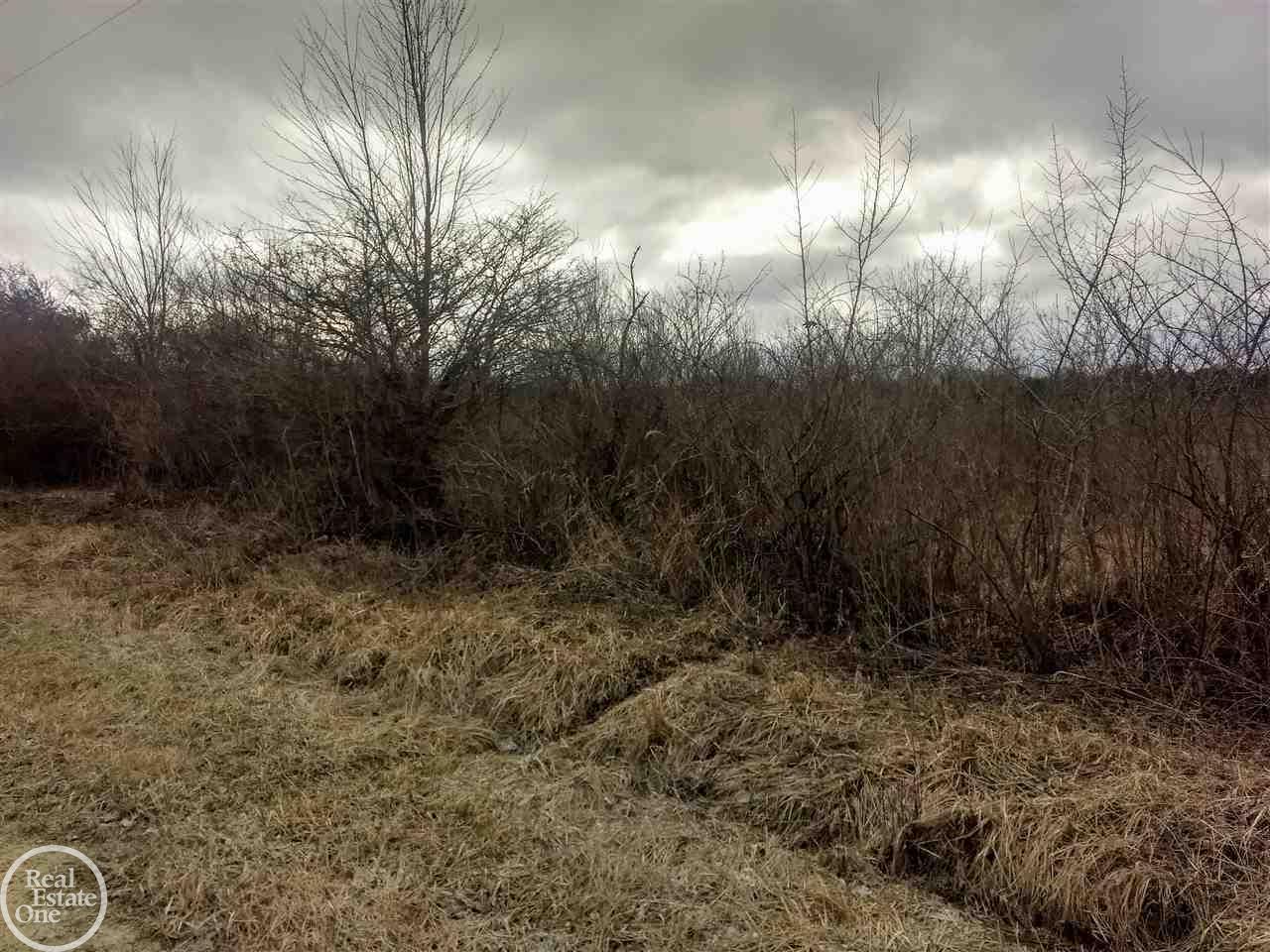 Vl Gibbons Road Jeddo, MI 48032 - Photo 1 of 2