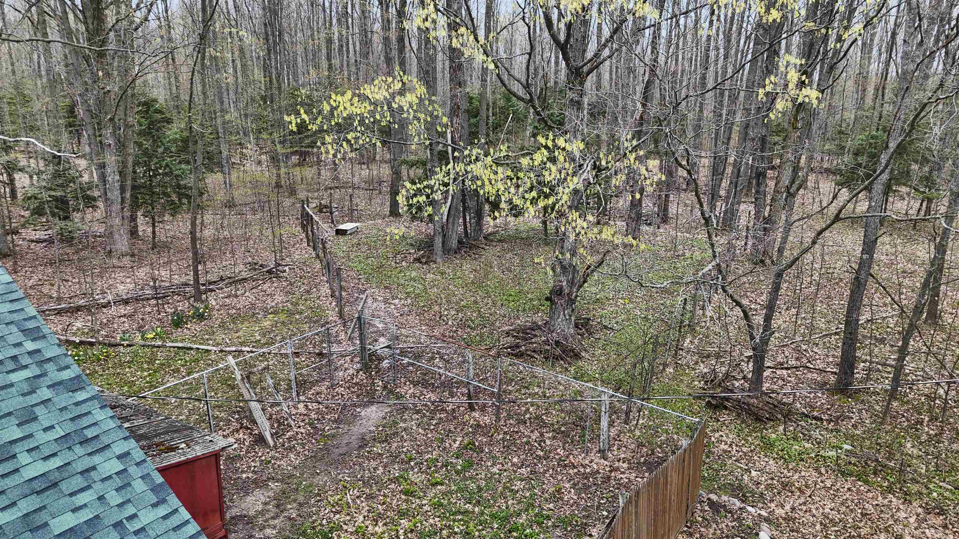 2561 East Johnson Road Lake City, MI 49651 - Photo 52 of 63
