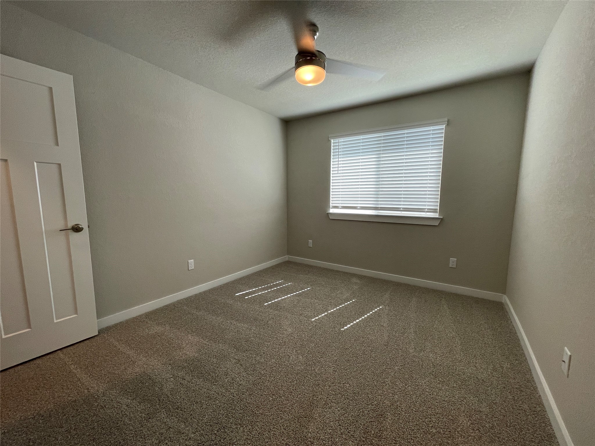 217 Coda Crossing Georgetown, TX 78633 - Photo 14 of 18