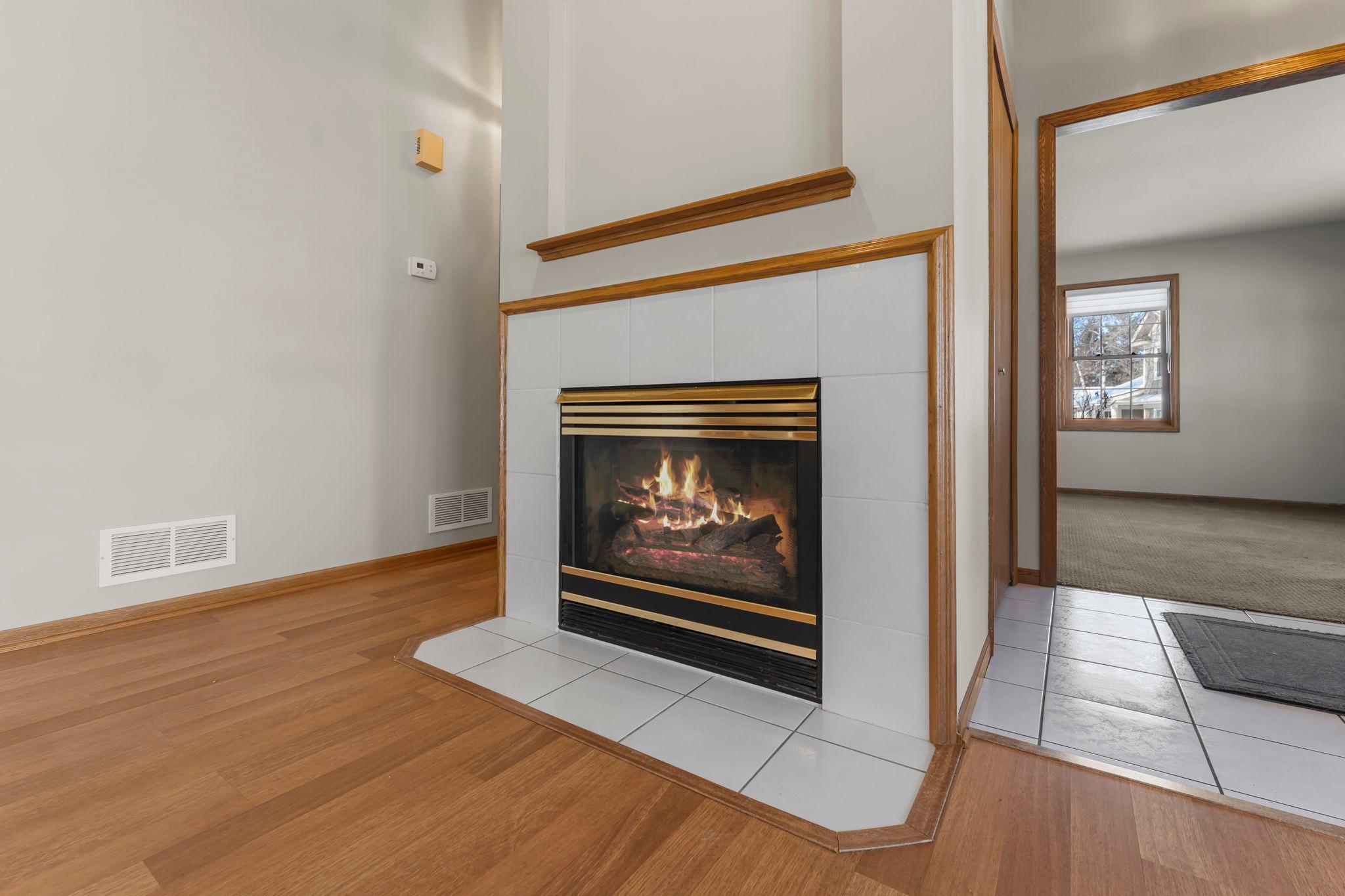 809 Ivy Lane Eagan, MN 55123 - Photo 8 of 49