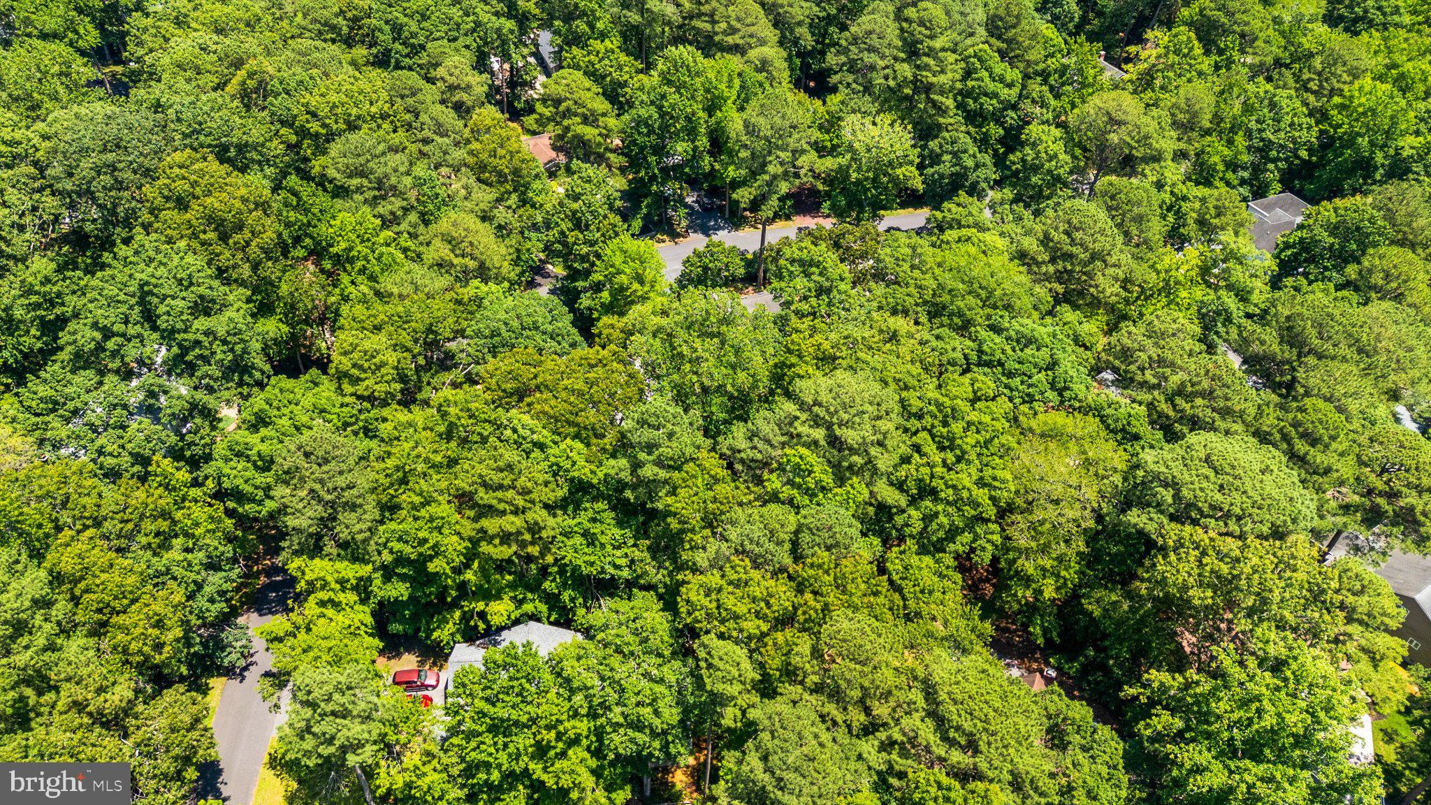 12 Moonraker Road Ocean Pines, MD 21811 - Photo 4 of 17 Lush green canopy over suburban streets.