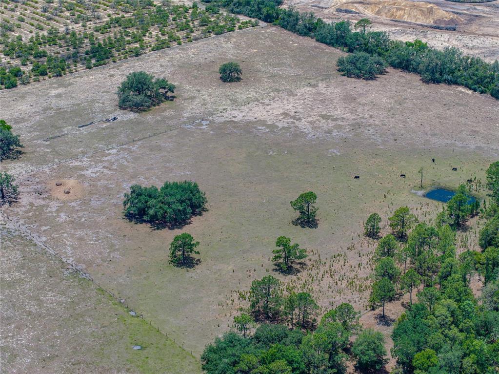 10790 Jim Edwards Road Haines City, FL 33844 - Photo 16 of 58