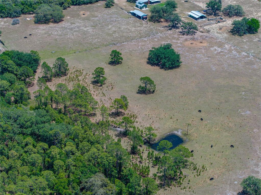 10790 Jim Edwards Road Haines City, FL 33844 - Photo 27 of 58