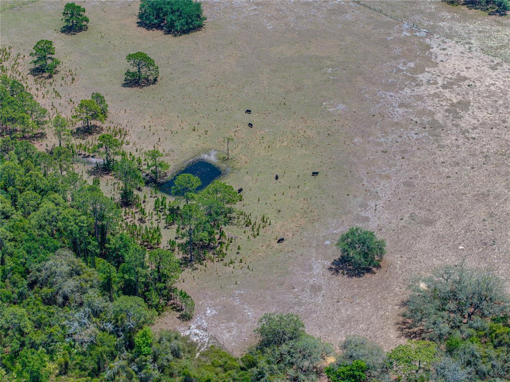 10790 Jim Edwards Road Haines City, FL 33844 - Photo 28 of 58