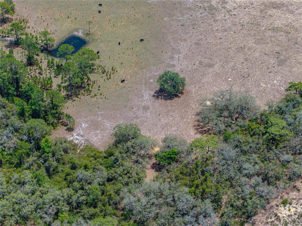 10790 Jim Edwards Road Haines City, FL 33844 - Photo 29 of 58