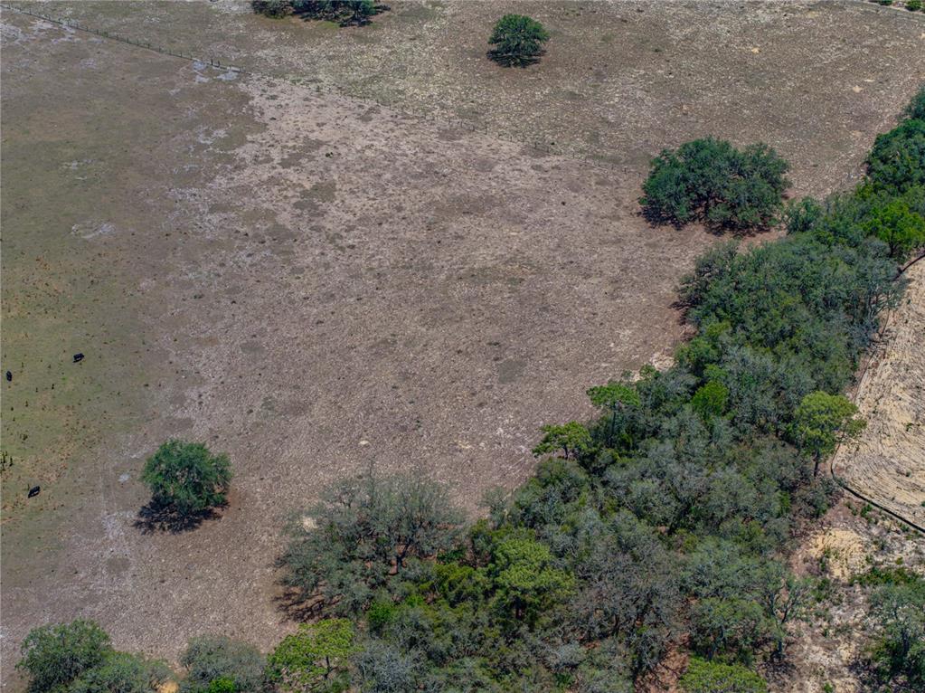 10790 Jim Edwards Road Haines City, FL 33844 - Photo 30 of 58