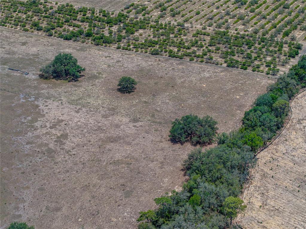 10790 Jim Edwards Road Haines City, FL 33844 - Photo 31 of 58