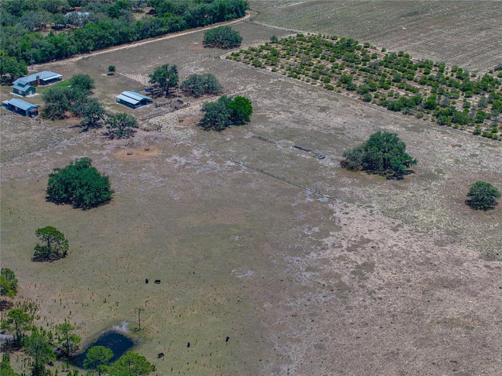 10790 Jim Edwards Road Haines City, FL 33844 - Photo 34 of 58