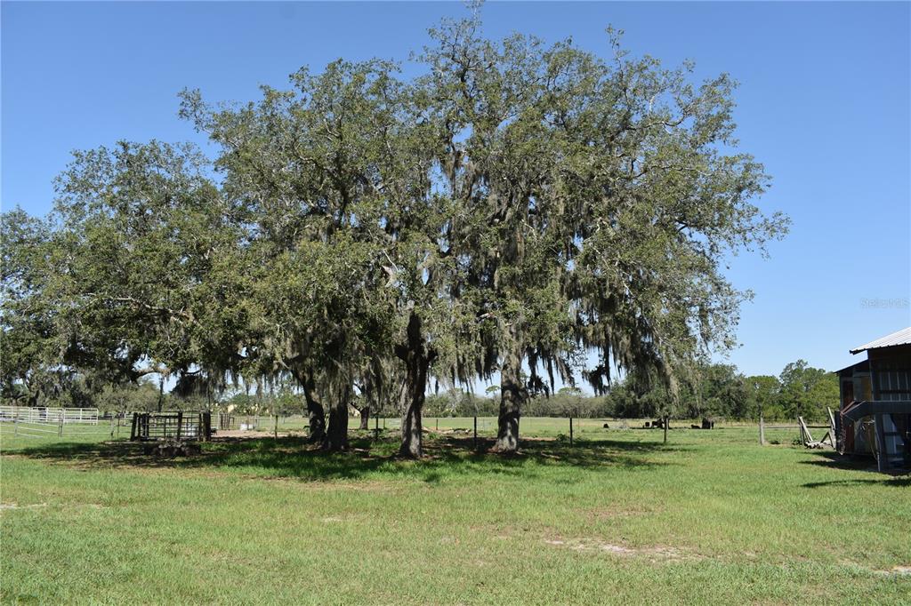 10790 Jim Edwards Road Haines City, FL 33844 - Photo 39 of 58