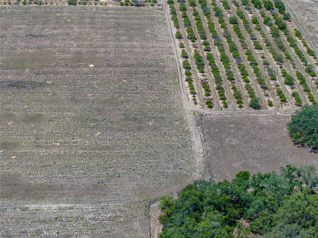 10790 Jim Edwards Road Haines City, FL 33844 - Photo 7 of 58