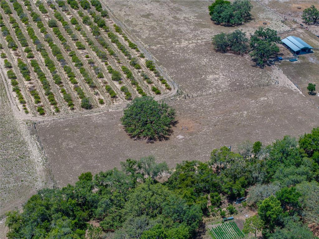 10790 Jim Edwards Road Haines City, FL 33844 - Photo 8 of 58