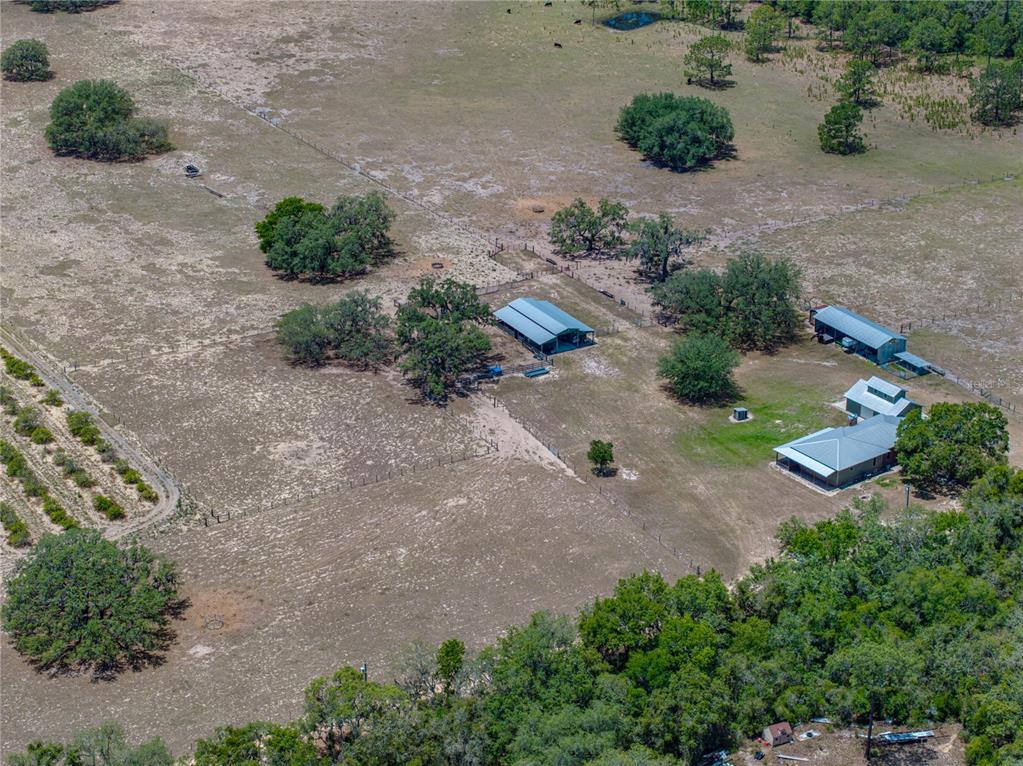 10790 Jim Edwards Road Haines City, FL 33844 - Photo 9 of 58