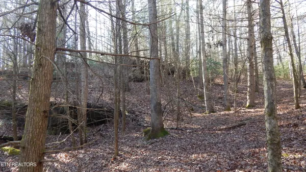 $115,000 | Bearpen Fork, Jamestown, TN 38556