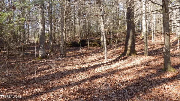 $115,000 | Bearpen Fork, Jamestown, TN 38556