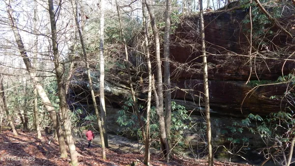 $115,000 | Bearpen Fork, Jamestown, TN 38556