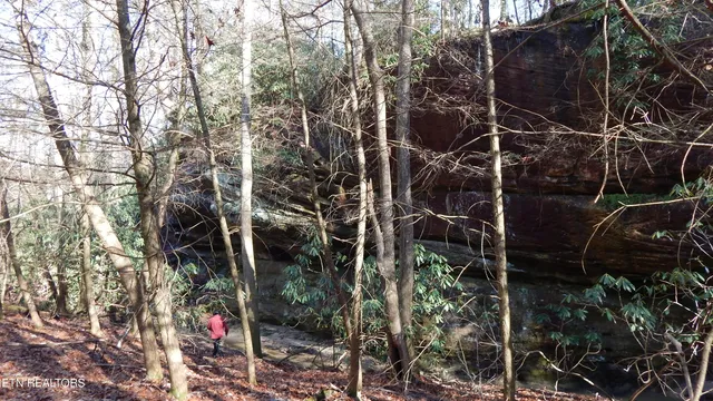 $115,000 | Bearpen Fork, Jamestown, TN 38556