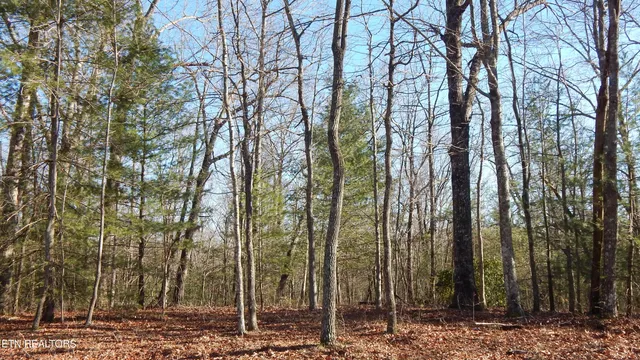 $115,000 | Bearpen Fork, Jamestown, TN 38556