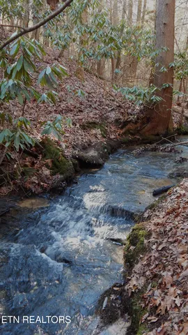 $115,000 | Bearpen Fork, Jamestown, TN 38556