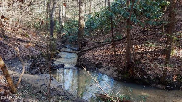 $115,000 | Bearpen Fork, Jamestown, TN 38556