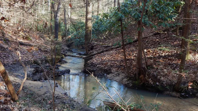 $115,000 | Bearpen Fork, Jamestown, TN 38556