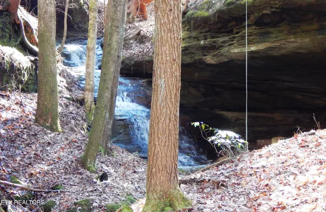 $115,000 | Bearpen Fork, Jamestown, TN 38556