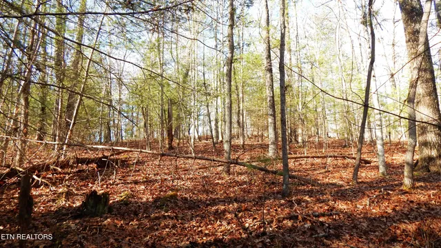 $115,000 | Bearpen Fork, Jamestown, TN 38556