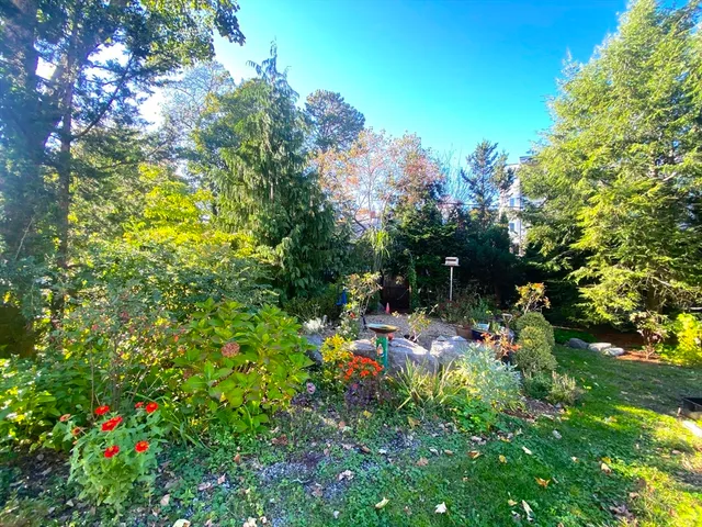 a view of a flower in a garden