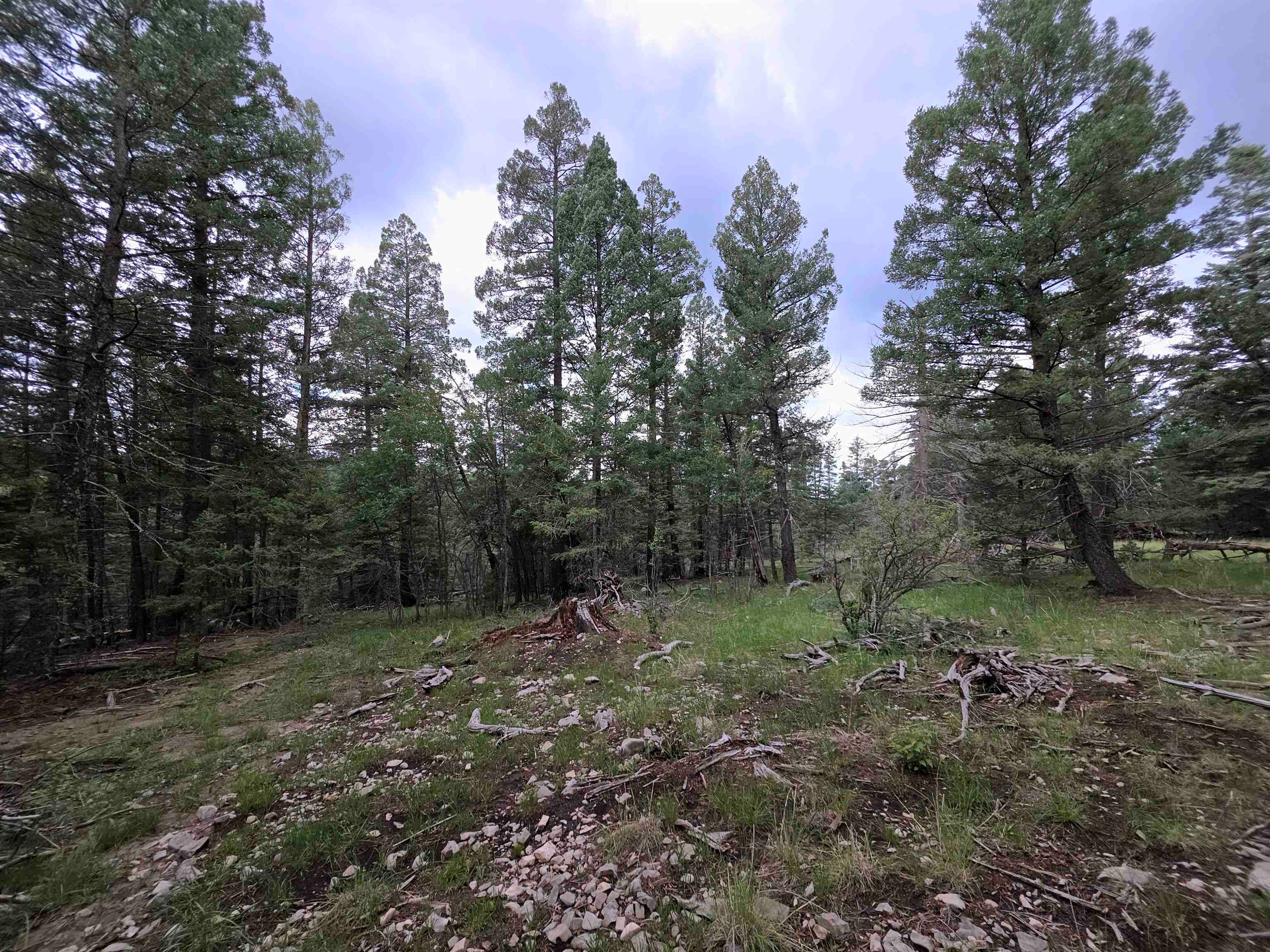 Lot 58 Big Dipper Road Mayhill, NM 88339 - Photo 32 of 50 Gallery Image 32