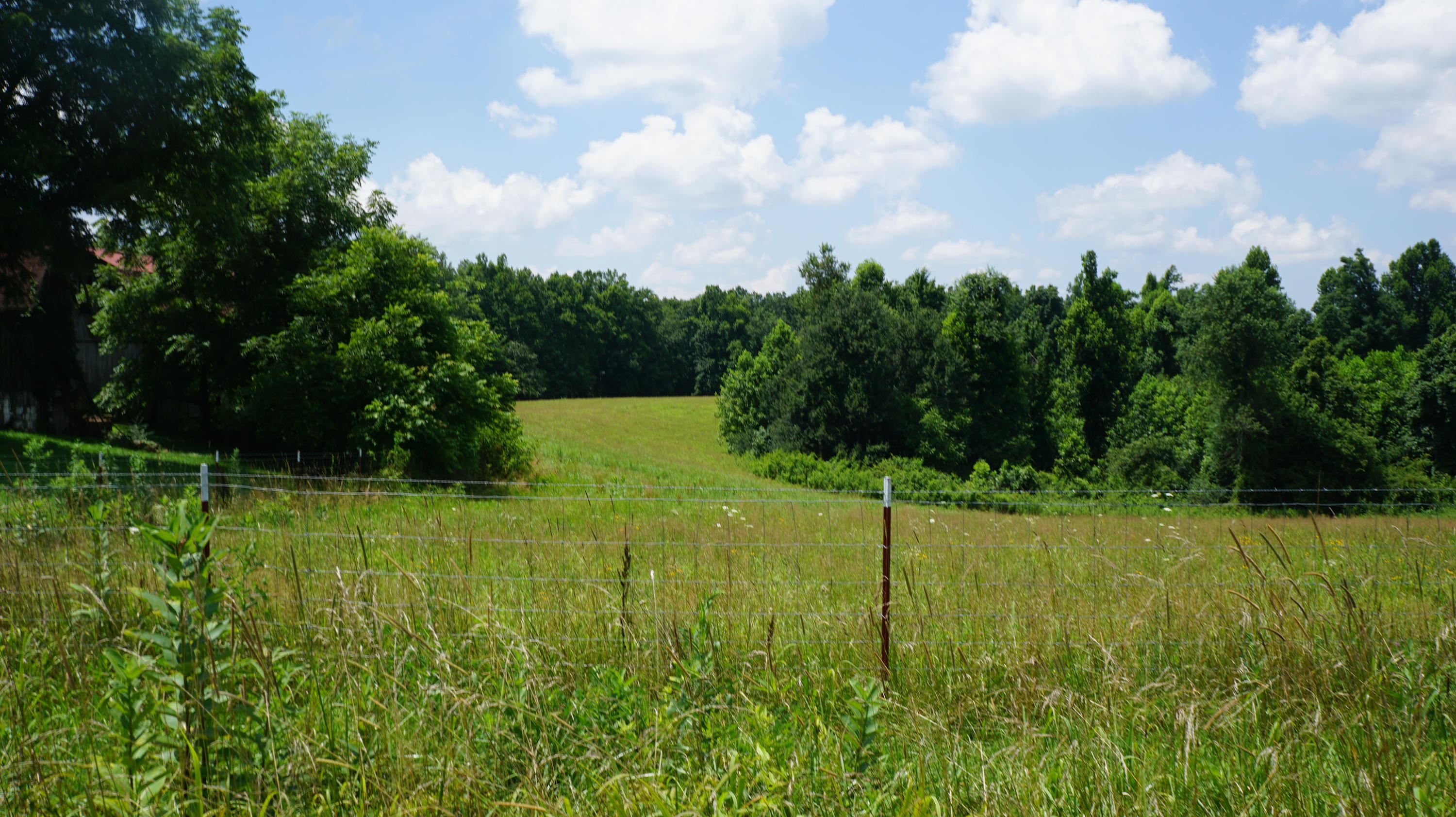 70 & Arthur Seagraves Road Sparta, TN 38583 - Photo 2 of 28 DSC01976