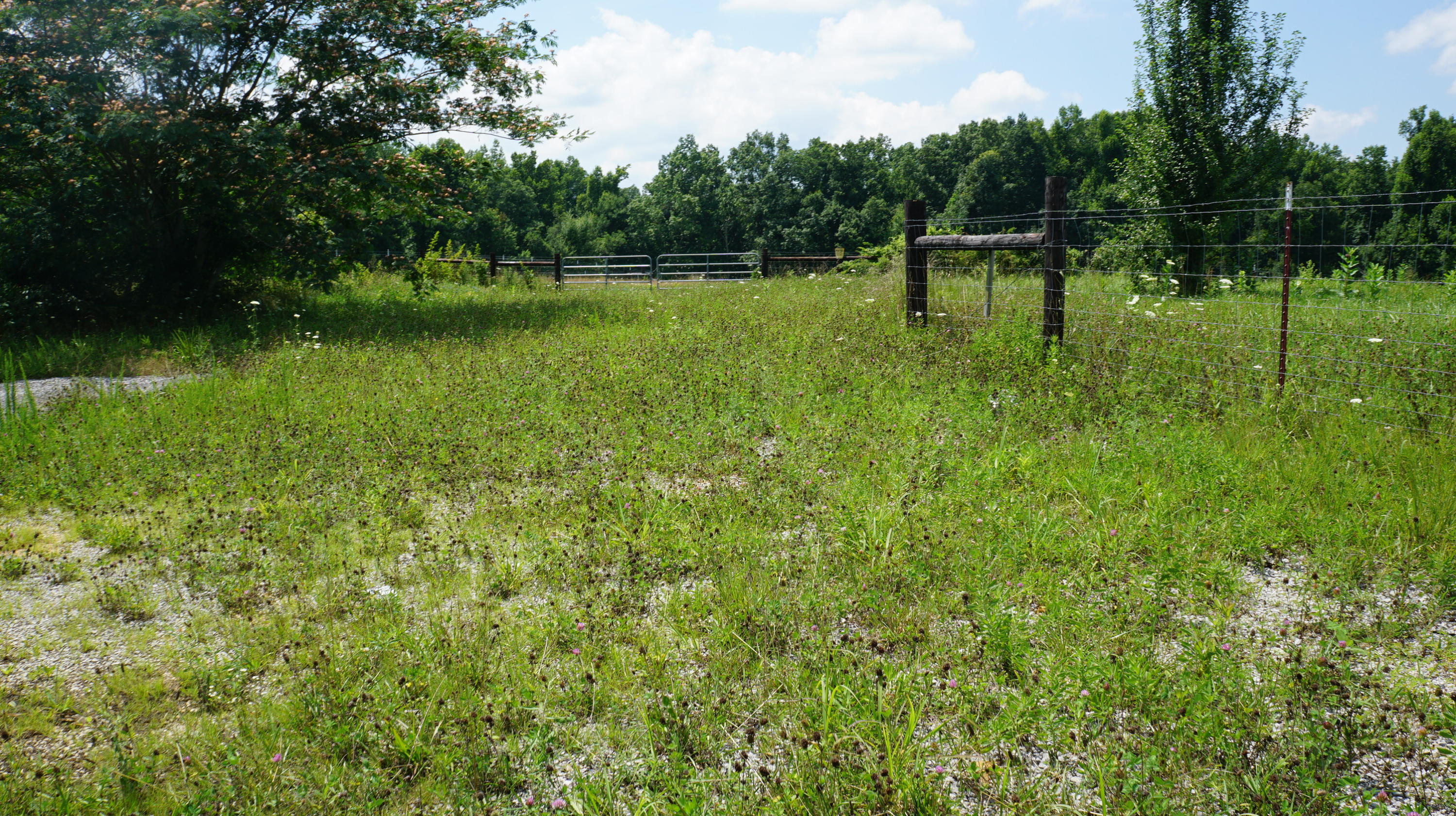 70 & Arthur Seagraves Road Sparta, TN 38583 - Photo 25 of 28 DSC02015