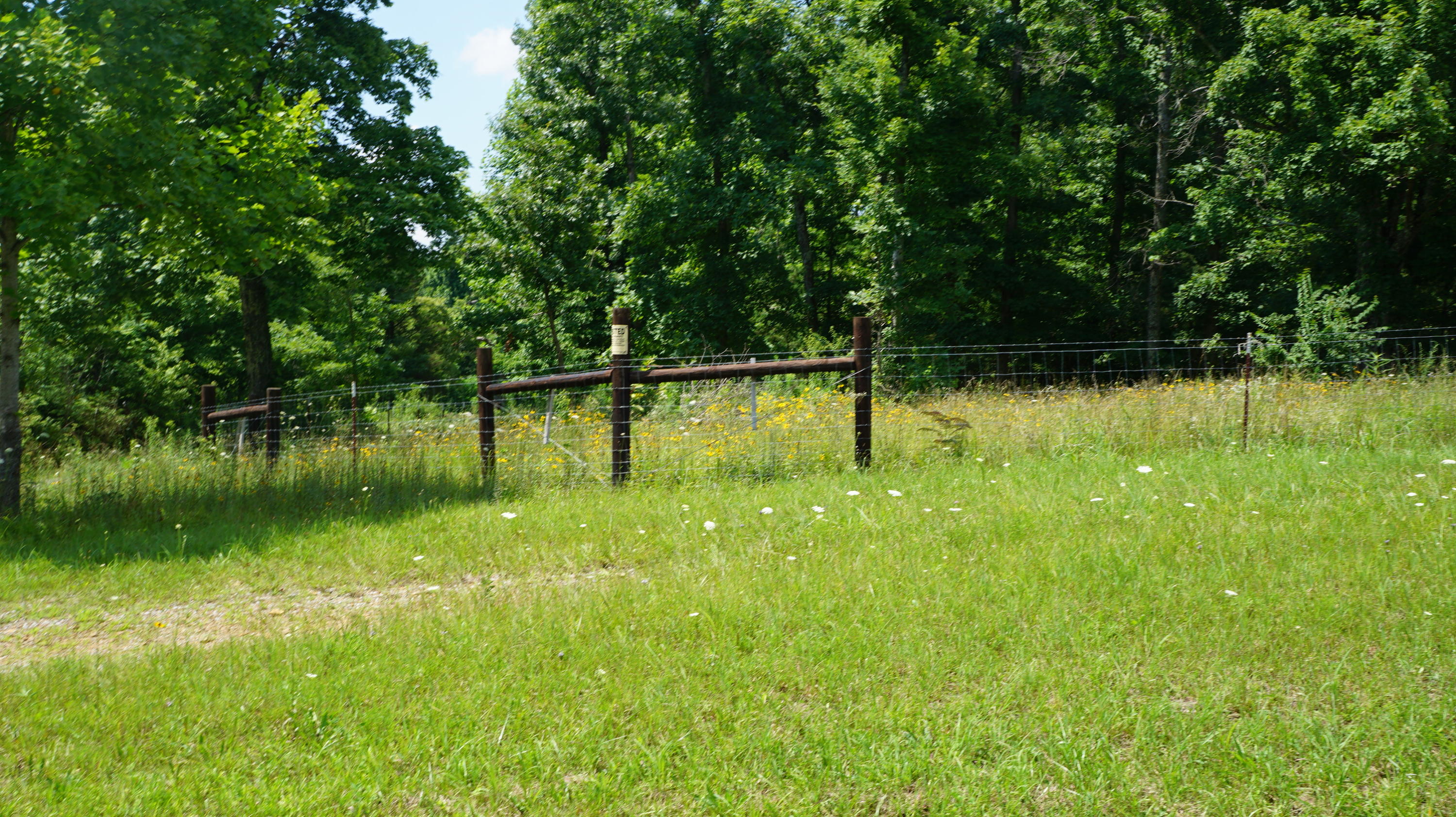 70 & Arthur Seagraves Road Sparta, TN 38583 - Photo 27 of 28 DSC02024